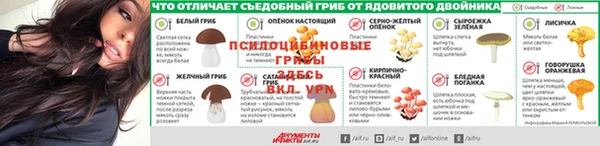 каннабис Арсеньев