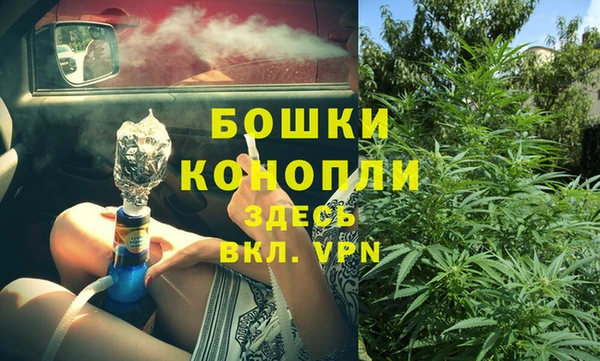 гидра Армянск