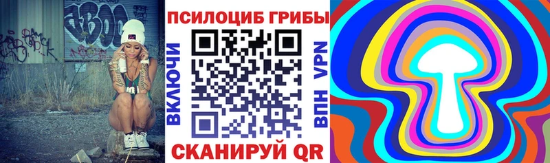 kraken как зайти  Омутнинск  Галлюциногенные грибы Psilocybine cubensis 